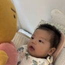 비유니콘 | 4개월 밤잠 퍼버법 후기 1탄, 1~5일차 기록