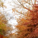 섬진강캠핑장 이미지