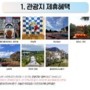 일등카서비스 | 제주도 렌트카 후기 X 아기랑 이용한 제주더렌트카