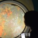 제주유유자적 이미지