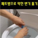 셀워스 | 변기 물이 안차요. ( 내돈내산 변기총이 최고)