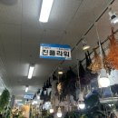 부산 꽃시장 범일동 꽃시장 자유도매시장 진플라워 내돈내산 솔직후기