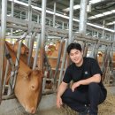 당찬한우 이미지