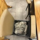 광진구의회 | 구의역 맛집_화양 양꼬치 구의점 재방문 후기 (숯불양꼬치, 마라양꼬치, 어향가지)