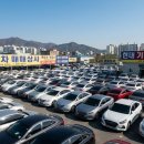 강성은꽃 | 쏘나타 DN8 중고, 못생겨서 싸다? LF쏘나타 결함 딛고 일어선 가성비 등급 지식인카 추천