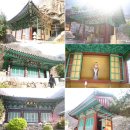 천태산죽염 이미지