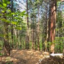 은하사 | 등린이 경남 김해 신어산 철쭉산행 은하사 산림욕장 C코스 등산 후기