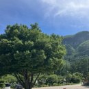 태하 모노레일 이미지