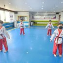 용인대 비룡 태권도장 이미지