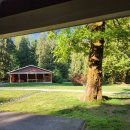 메이플 베이 (maple bay) 이미지