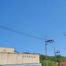 새들의 정원 | 250504 🐦 화정박물관 《새들의 그림정원》, 홍제천 탐조