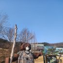구미에코랜드 야외주차장 화장실 | 구미 아이와 가볼만한곳 에코랜드 | 입장료 무료 모노레일 체험 후기