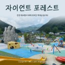 문경 에코랄라 2편 : 역대급 놀이터 자이언트 포레스트, 꼭 다시 갈거야!