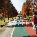 봉동 자전거 대여소 이미지