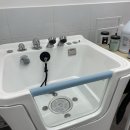 보들 반려견 미용실 이미지