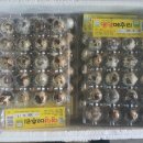 라라팜(메추리) 이미지