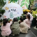 풀(full)
