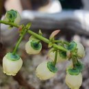 신광명공인중개사사무소 이미지