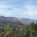 산불