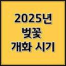 2025년 벚꽃 개화 시기, 올해 벚꽃놀이 준비는 지금부터! 이미지