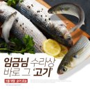 리스티클 이미지