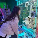 팡팡뽑기방 이미지