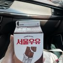 신전떡볶이덕천점 | [12w] 부산 덕천 미래로병원 1차기형아검사, 1차정밀초음파 후기