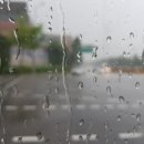 한빛유리