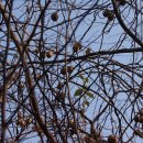 옹달샘농장 이미지