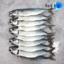 해물로 이미지