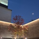 이채원 국밥 | 코베이듯 지나간 10월의 나