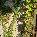 희복농장 이미지