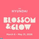 주식회사은빛 | 더현대 TheHyundai 글로벌 기프트: K-뷰티 복주머니 파우치, 실리콘 액막이 명태 키링