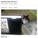 해피타임 이미지