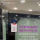 원더브라NC 이미지
