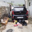 금빛한돈 이미지