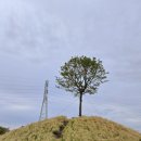 대서플랜트 이미지