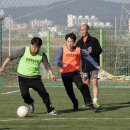 충청풋살공원 이미지