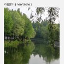 강성은꽃 이미지