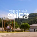 숲속의 연화 펜션 이미지