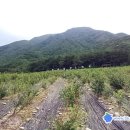 동송농장 이미지