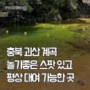 송화펜션 | 충북 청주 근교 괴산 쌍곡계곡 송화펜션 당일치기 평상 후기