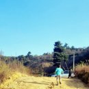 용설농장 이미지