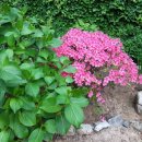 산청패밀리 이미지