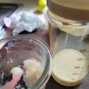 옹근집 | [264일~270일차 봄봄이] 산골이유식 매장방문, 후기이유식 먹어보기, 봄봄이 첫 문센