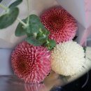 천송이꽃방 이미지