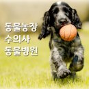 박순석동물메디컬센터 | 동물농장 수의사 동물병원 정보