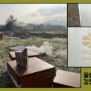 야생양봉원 이미지