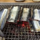 싱싱장어 이미지