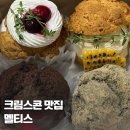 강동구청역카페 디저트 크림스콘 휘낭시에 맛집 멜티스